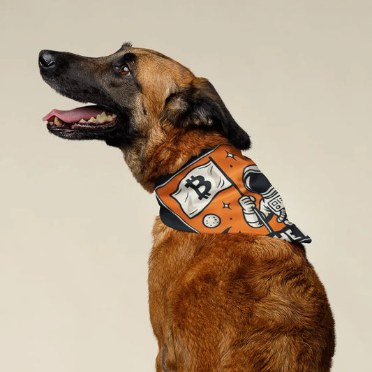 Bitcoin to the moon Bandana Coinerstore